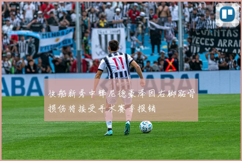 快船新秀中锋尼德豪泽因右脚跖骨损伤将接受手术赛季报销