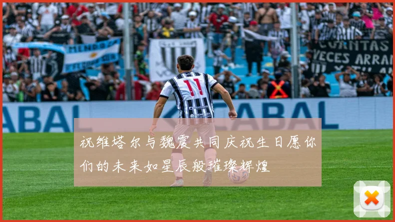 祝维塔尔与魏震共同庆祝生日愿你们的未来如星辰般璀璨辉煌
